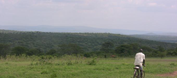 The vast farm lands of Nshara